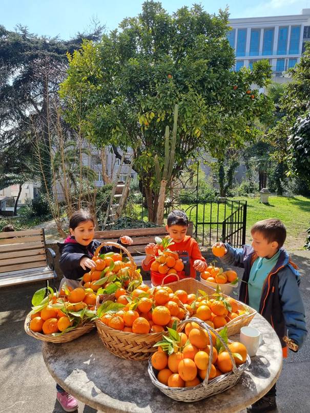 A group of children standing around a table with baskets of oranges

AI-generated content may be incorrect.
