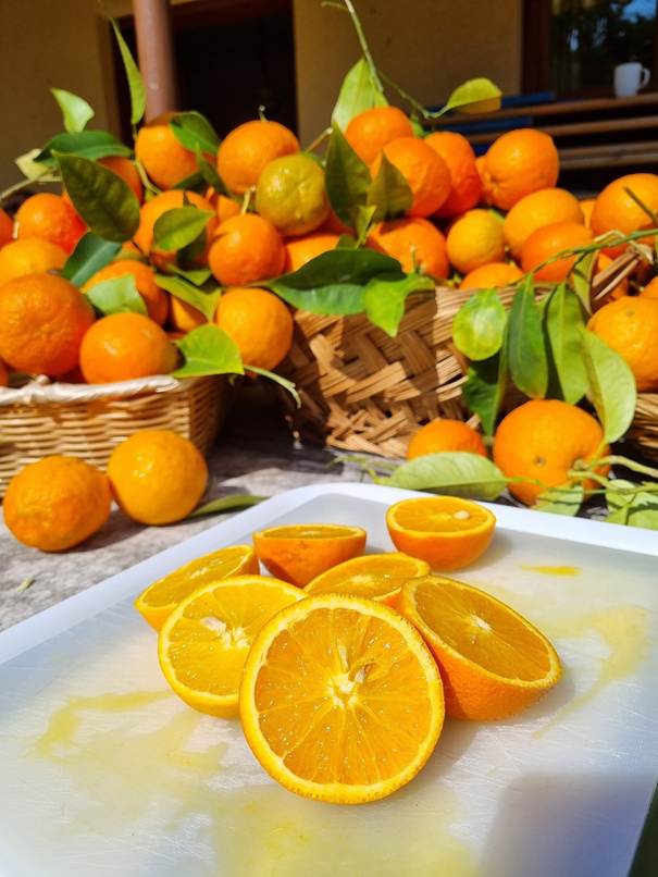 A group of oranges in baskets

AI-generated content may be incorrect.