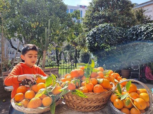 A child sitting in a basket of oranges

AI-generated content may be incorrect.
