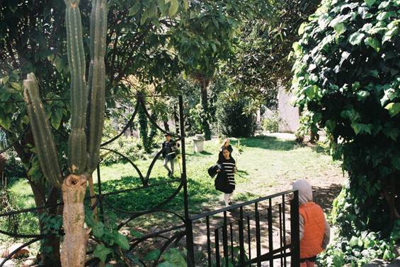A group of kids in a garden

AI-generated content may be incorrect.